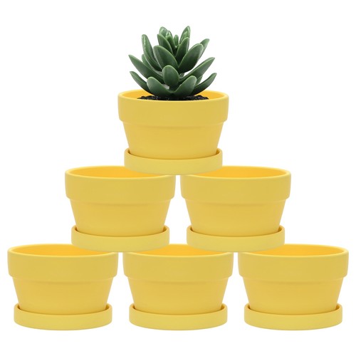 Pack shallow terracotta clay - terracotta,
