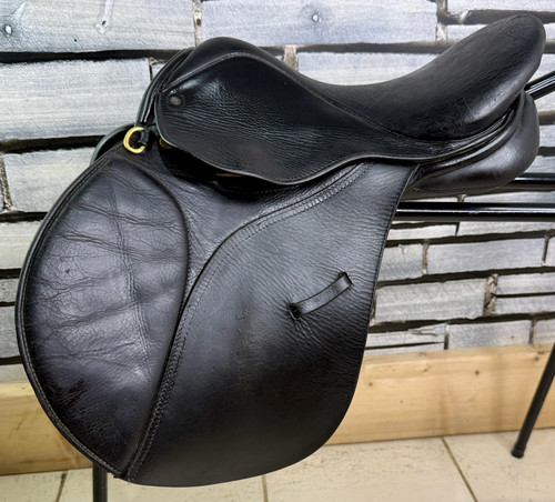 Wide gfs english pony - english,
