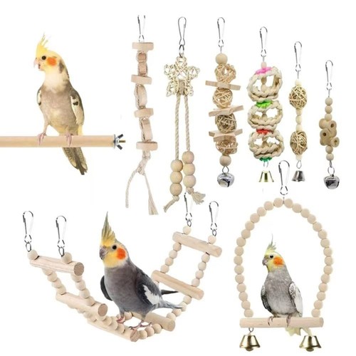 8pcs set wood parrot - set,