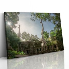 Ta Prohm Banyan Tree Angkor