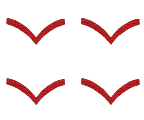 Qaranc royal army - army, nursing