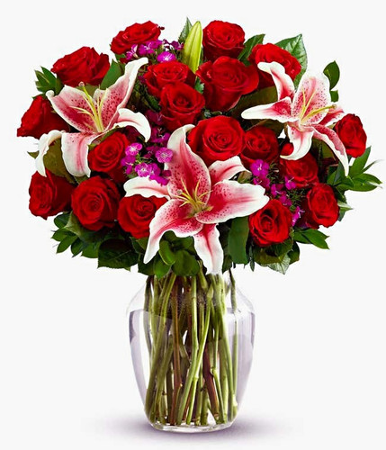 Valentine day rose lily - rose, &