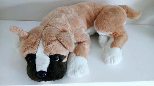 Teddy hermann boxer dog - teddy,