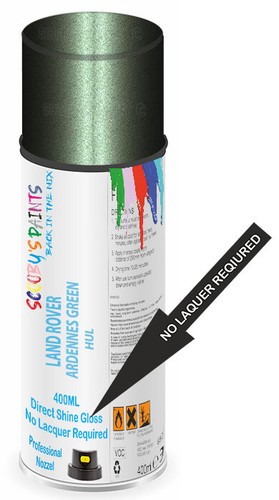Aerosol paint spray direct - paint,