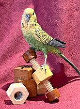 Very Rare Country Artists 6" Budgie with Wooden Toy 05233 2006 Excellent