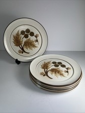 Denby - Cotswold - 5 x Dinner