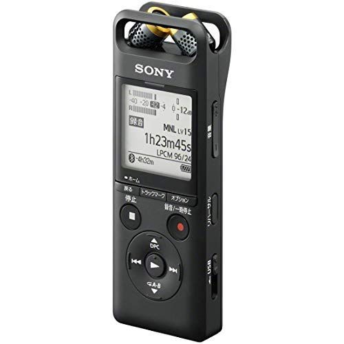 Sony pcm a10 - sony, pcm-a10