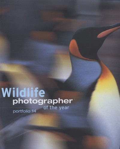 Wildlife photographer the - wildlife, of