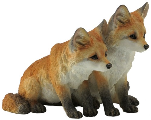 Adorable orange white - adorable,