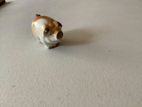 Unique pig china - pig,