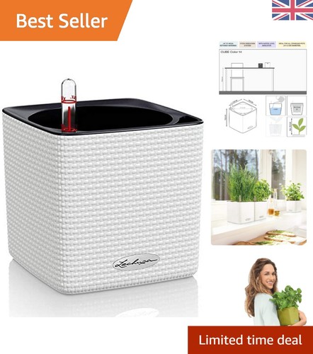 Compact 14cm self watering - compact,