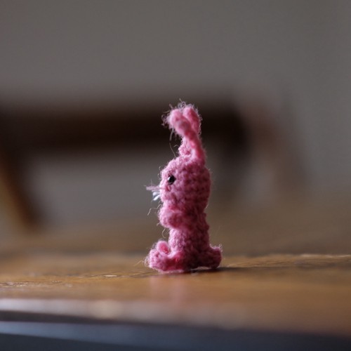 Teddy bunny crocheted - bunny,