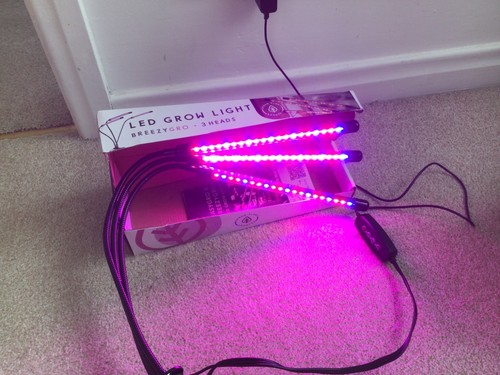 Urban plant growers - urban, grow