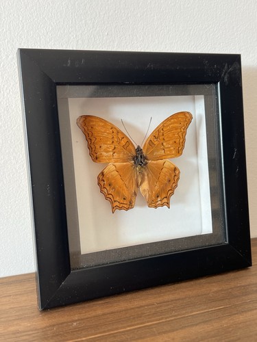Vintage style 1990 framed - style,