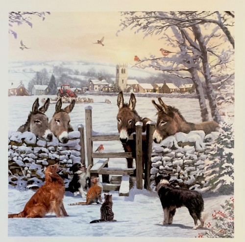 Charity christmas card - charity,