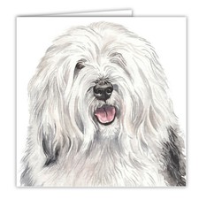Old English Sheepdog greetings