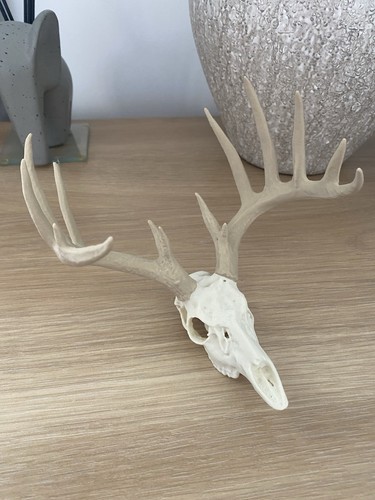 Faux deer and - and, 2
