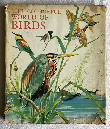 Collectable vintage the - vintage, “the