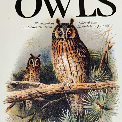 Owls illustrated hardcover - owls,