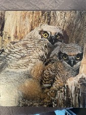 1970s VTG Springbok Masters of