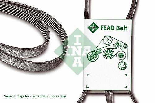 Ribbed belt 6dpk1817 - fb, ina