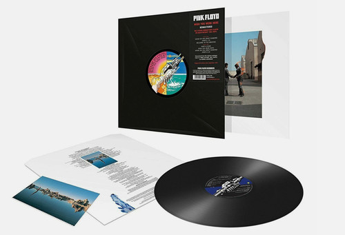 Pink floyd wish - "wish, were