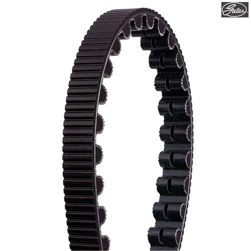Gates carbon drive - carbon, belt