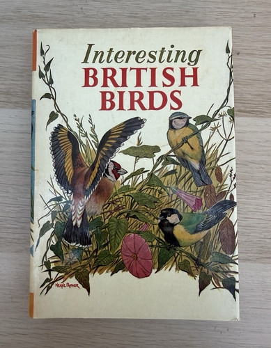 Interesting british birds - birds, by