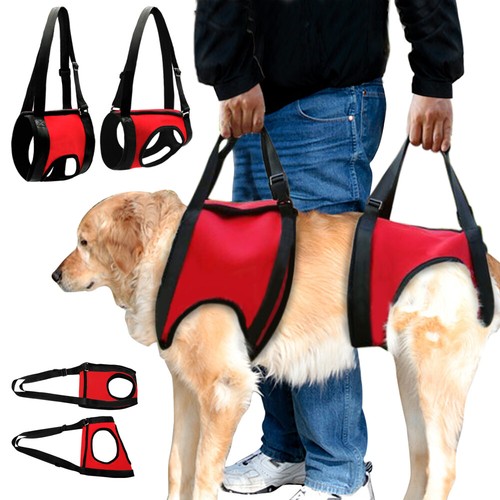 Dog lifting harness full - harness, body