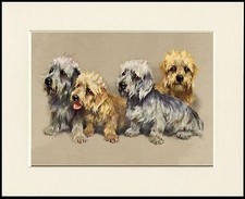 DANDIE DINMONT TERRIER GROUP OF DOGS LOVELY DOG PRINT MOUNTED READY TO FRAME