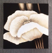 Canvas Print Wall Art Flower 20ins x 20ins Square Framed Ready to Hang