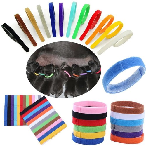 Newborn whelping bands - whelping,