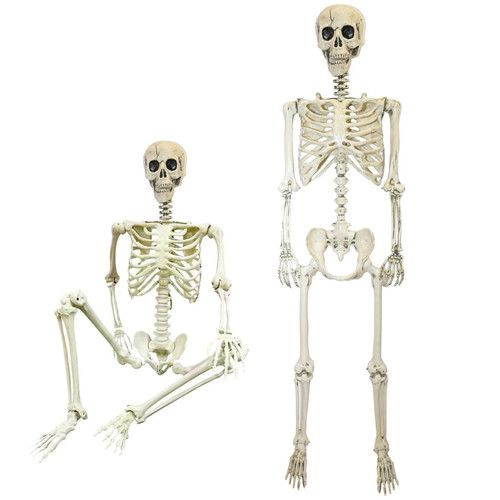 Poseable skeleton full size - skeleton,