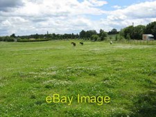 Photo 6x4 Horses grazing