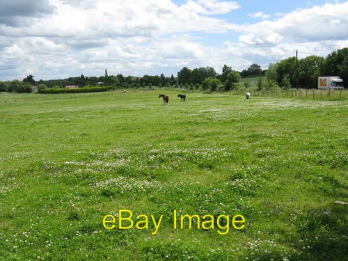 Photo 6x4 horses - 6x4, grazing