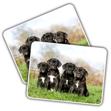 Vinyl sticker cane corso - 2x,