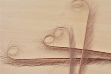 Colourful Curled Feathers for