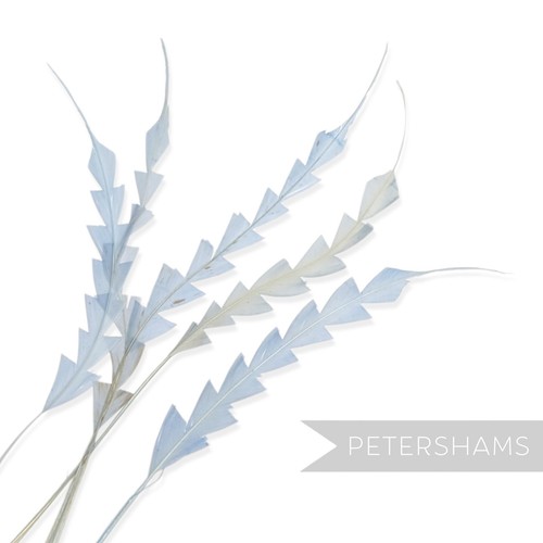 Zig zag coque feather for - zig,