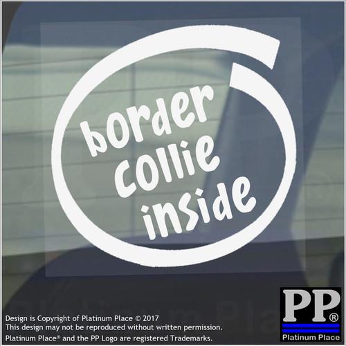 Border collie inside - collie,
