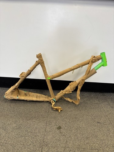 Raleigh lizard frame ladies - raleigh,