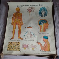 Vintage Denoyer Geppert