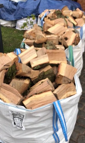 Unseasoned firewood logs - unseasoned,