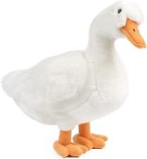 Living nature large duck - nature,