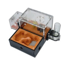 Yellow Soil Ant Farm –