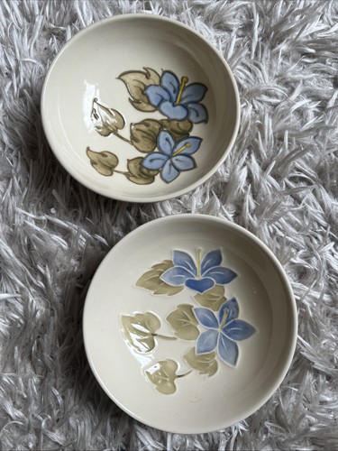 Two moorcroft campanula - two,