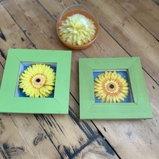 Various Y2K Daisy Art Mirror 2