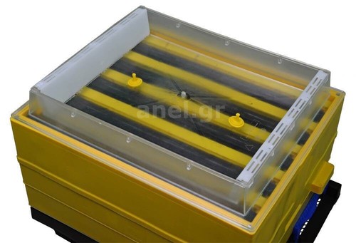 Transparent langstroth beehive - langstroth,