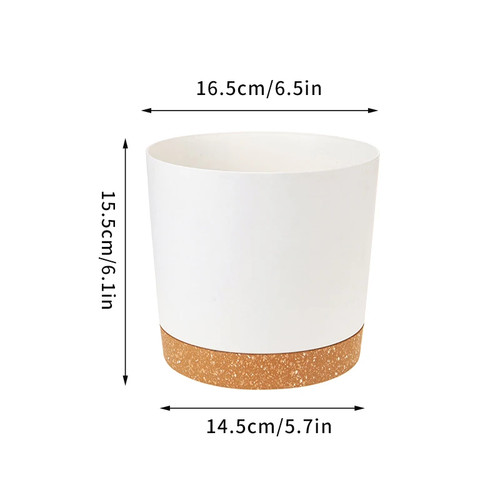 Plant pot large - plant,