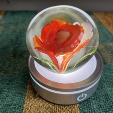 Extremely Rare Vintage Red