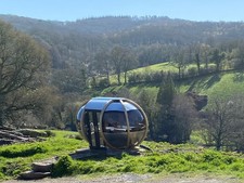 Medium oval house garden - oval,